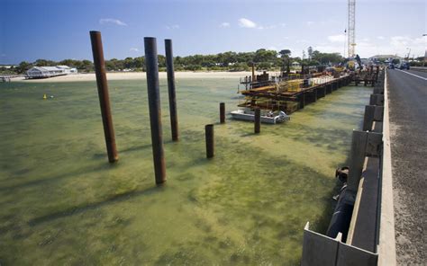 Barwon Heads Bridge Replacement - McConnell Dowell