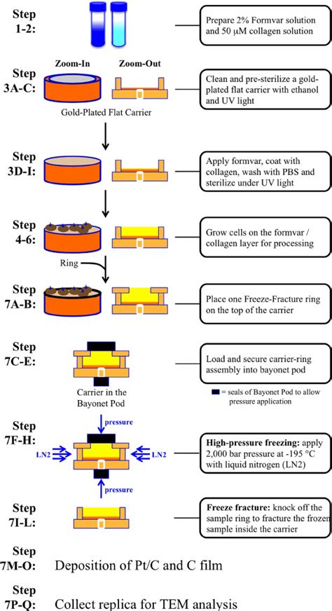 Schematic Diagram Chemistry Example Pdf Circuit Diagram