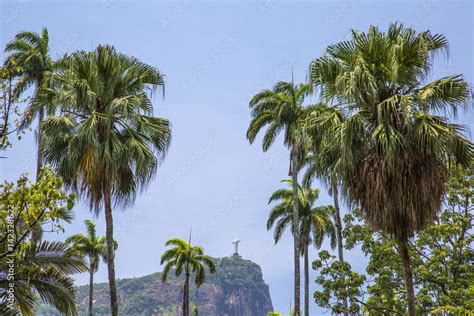 Cristo Redentor Stock Photo | Adobe Stock