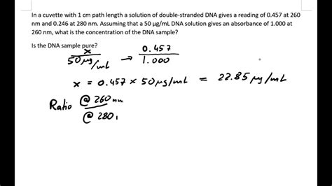 DNA Concentration YouTube