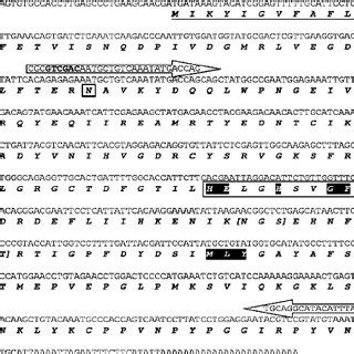 Comparative Immunological Cross Reactivity Of Crude Venom And