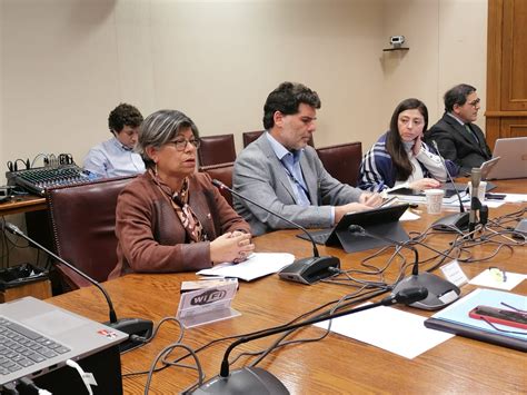 Presidenta De Confusam Expone En La Comisi N De Salud Del Senado Sobre