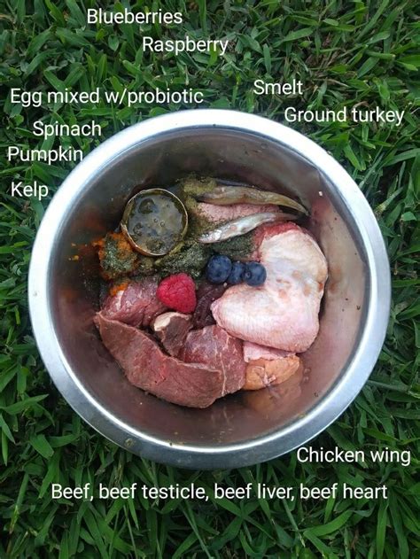 Barf Diet For 45lb Dog In 2021 Raw Dog Food Diet Raw Dog Food