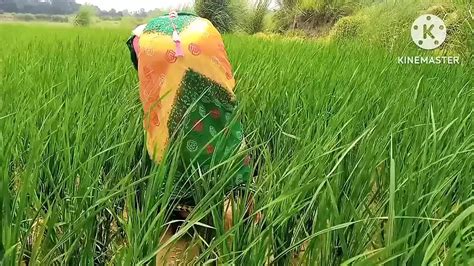 Indian Girls And Desi Lover Made A Fuck Sex Hinde Audio Milf Milf Porn Xhamster