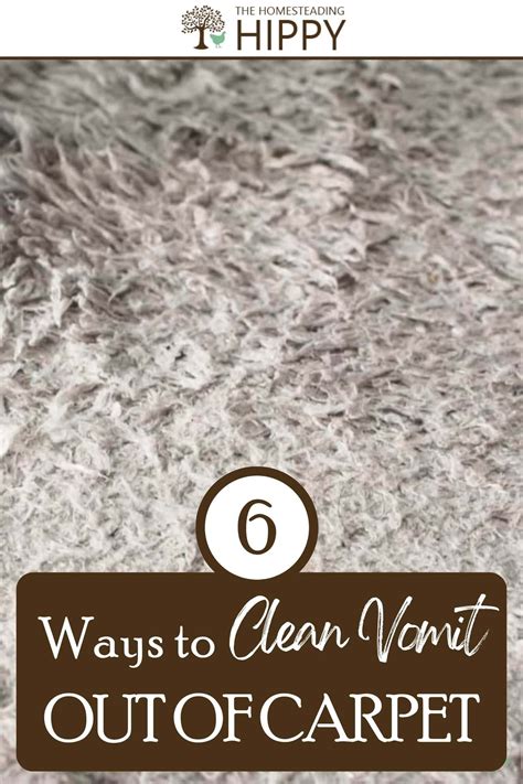 how to clean dog vomit off carpet 6