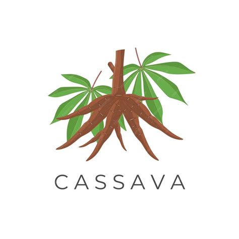 Premium Vector Cassava Root Realistic Vector Illustration Logo