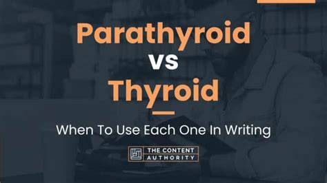 Parathyroid vs Thyroid: When To Use Each One In Writing