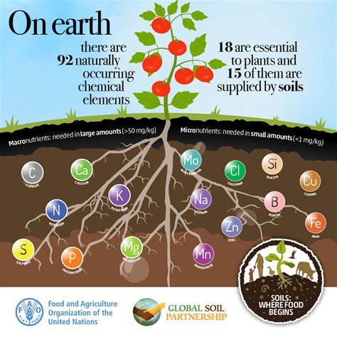 Soil Fertility Global Soil Partnership Food And Agriculture