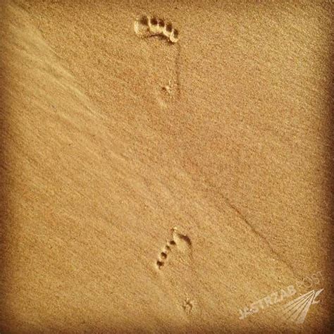 Kasia Cichopek W Bikini Na Wakacjach Fani Laseczka Sexi Zdj Cie Gwiazda Odpoczywa Z Dzie Mi