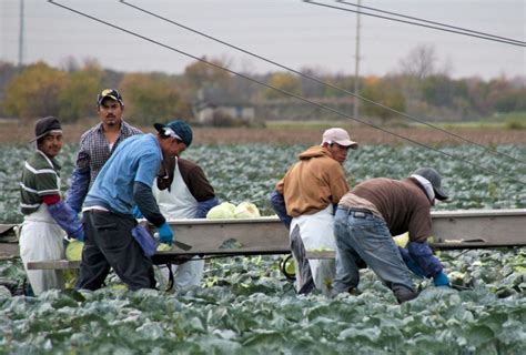 Disposable Workers Essential Work Migrant Farmworkers During The