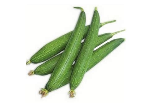 Nenua Sponge Gourd At Best Price In Prayagraj By Pragati Gram Fresh