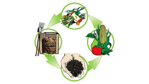 Better Composting Methods | Future Libraries