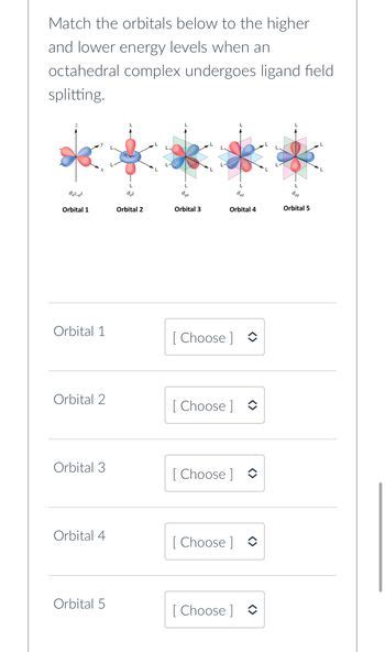 Answered Match The Orbitals Below To The Higher Bartleby