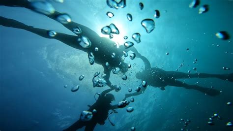 Fun Dive Catalinas Island Arco Iris Chrisdiving Ssi Dive Center In