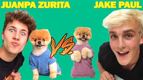 Jake Paul Vs Juanpa Zurita Career Earnings