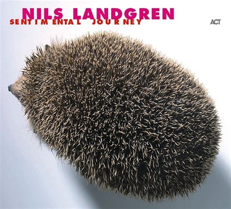 Nils Landgren Fragile Lyrics Genius Lyrics