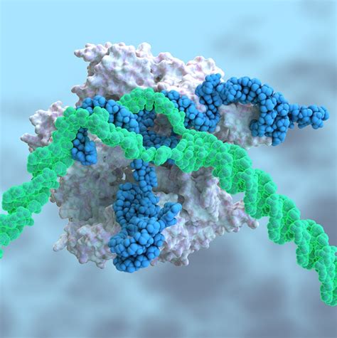 Crisprcas9 Illustration By Ella Maru Studio Inc Medical