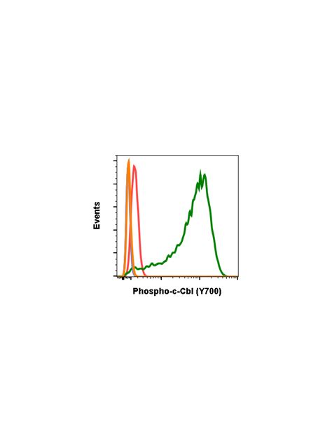 Phospho C Cbl Y Recombinant Mab Abwiz Bio