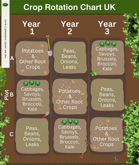 Crop Rotation Chart