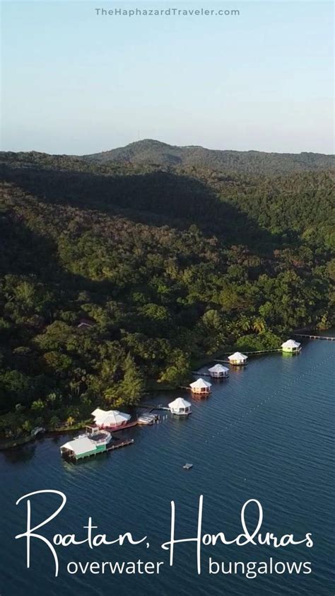 Overwater Bungalows In Roatan Honduras Mango Creek Lodge More Artofit