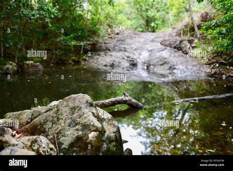 cardwell queensland  res stock photography  images alamy