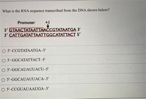 Solved What Is The Rna Sequence Transcribed From The Dna