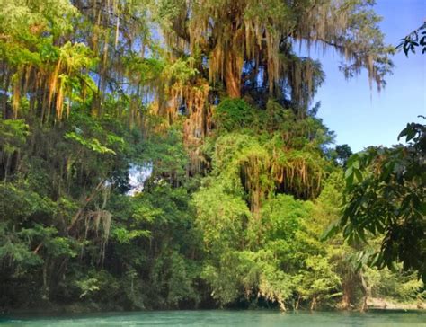 Recorrido Parte Baja Una Noche Reserva De La Biosfera El Cielo