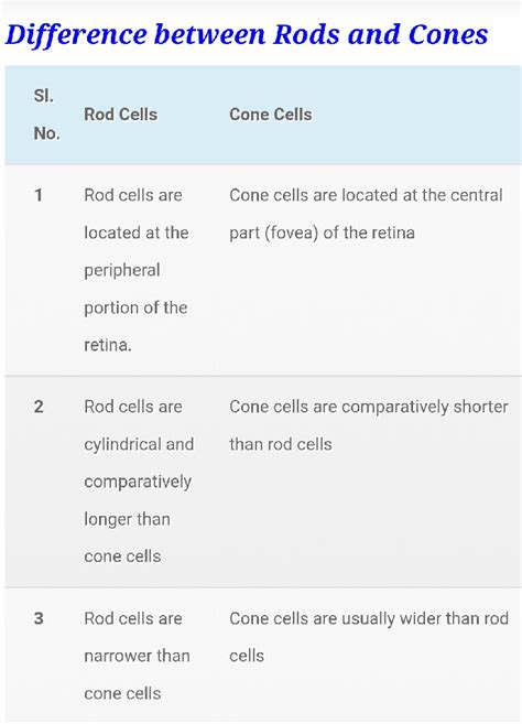 Difference between rod cells and cone cells - Science - The Human Eye ...