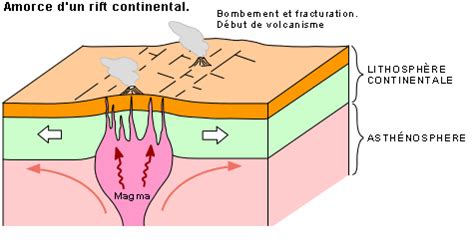 Les Sch Mas Qui Suivent Illustrent Les Quatre Tapes De Laformation D