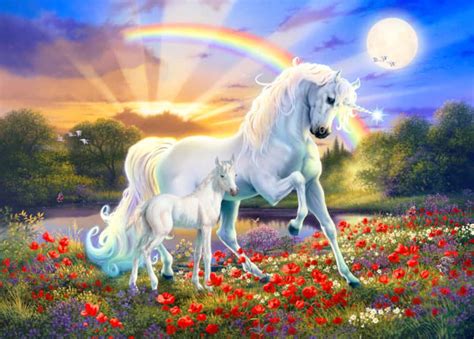 Im Genes De Arco Ris Unicornio Wallpapers