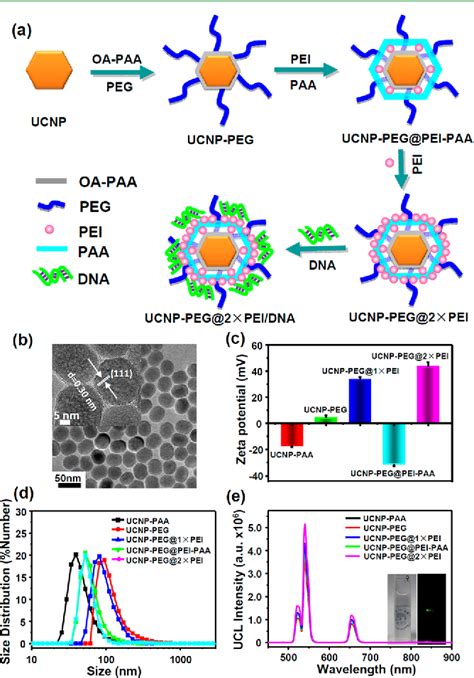 Figure 1 from Multilayer dual-polymer-coated upconversion nanoparticles ...