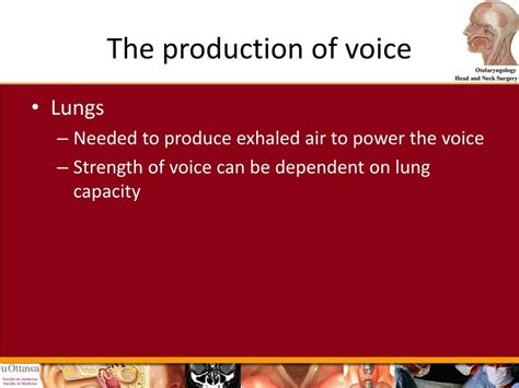 Ppt Physiology Of Voice And Hoarseness Powerpoint Presentation Free