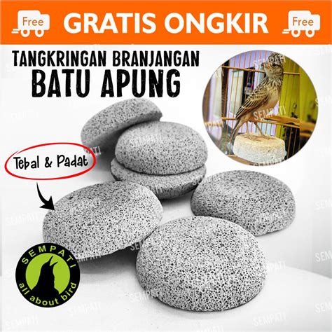 Jual Batu Apung Tangkringan Pijakan Kaki Burung Branjangan Tebal