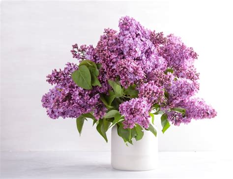 Premium Photo | Beautiful bouquet of fresh lilac flowers