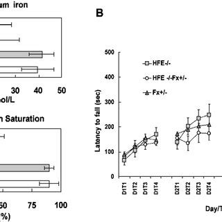 A Serum iron and transferrin saturation are elevated in Hfe À À Fx