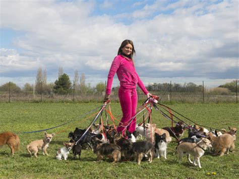 Tips Sobre Cómo Pasear A Tu Perro Correctamente Y No Fallar En El