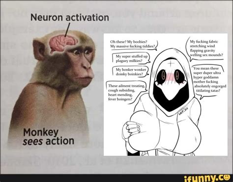 Neuron Activation Oh These My Boobtes Monkey Sees Action Ifunny