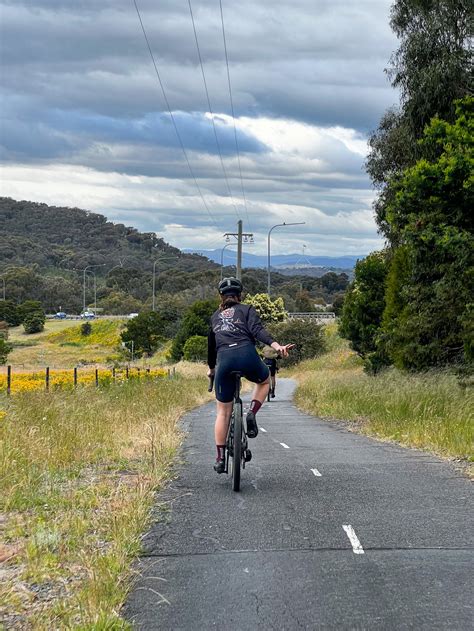 New trails for morton arboretum will open by summer 1