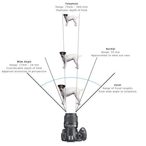 Basics Of Dslr Camera