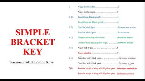 Simple Bracket Key - YouTube