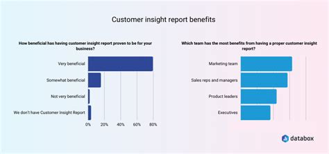 How To Develop An Actionable Customer Insight Report Your Whole Team Can Use Databox