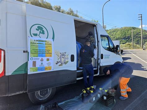 A Sorrento Risultati Record Per La Raccolta Differenziata Raggiunto