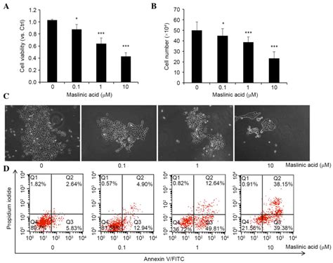 Maslinic Acid Suppresses The Growth Of Human Gastric Cells By Inducing