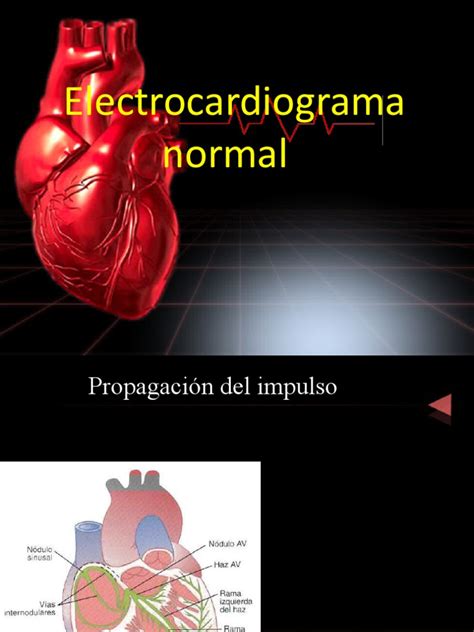 Electrocardiografía Fisiologia I Pdf Electrocardiografia Sistema