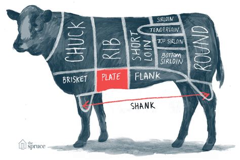 A Guide To All The Cuts Of Beef