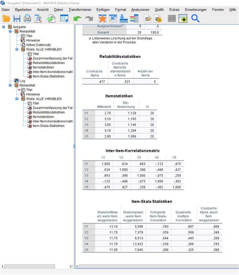 Cronbachs Alpha In Spss Anschaulich Erkl Rt