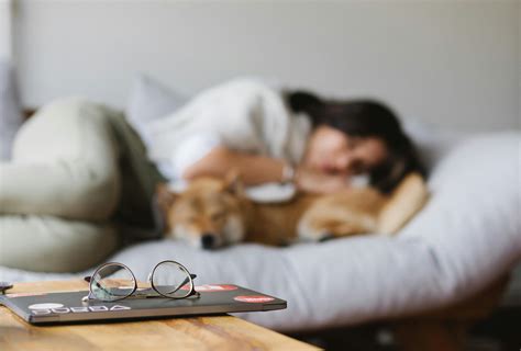 Female Dog Excessive Licking Treatment and Prevention Tips