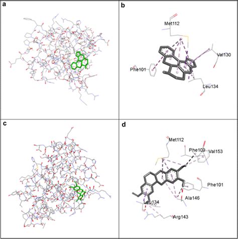 Binding Interactions Of Anonaine And Coreximine In Bcl A