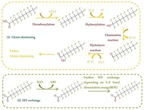 Molecules Free Full Text Research Updates On The Mechanism And