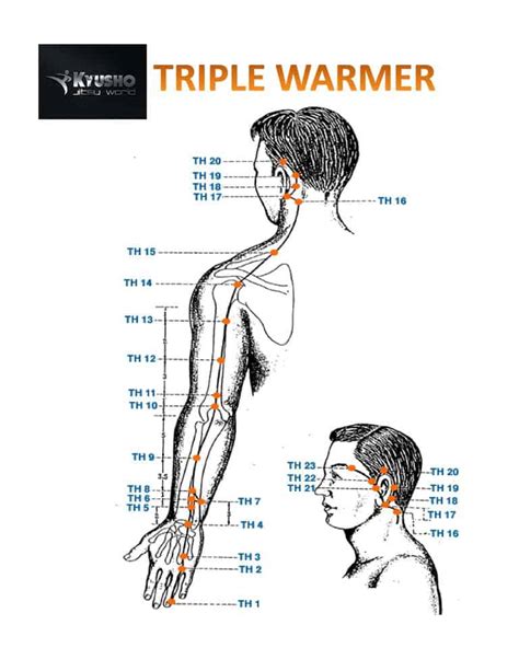 Most Dangerous Pressure Points For Devastating Results